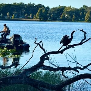 Two Fishermen