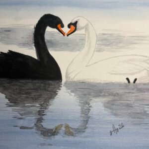 Swan Love
