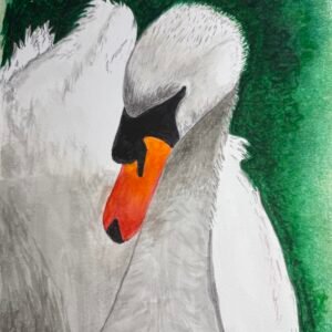 A Portrait